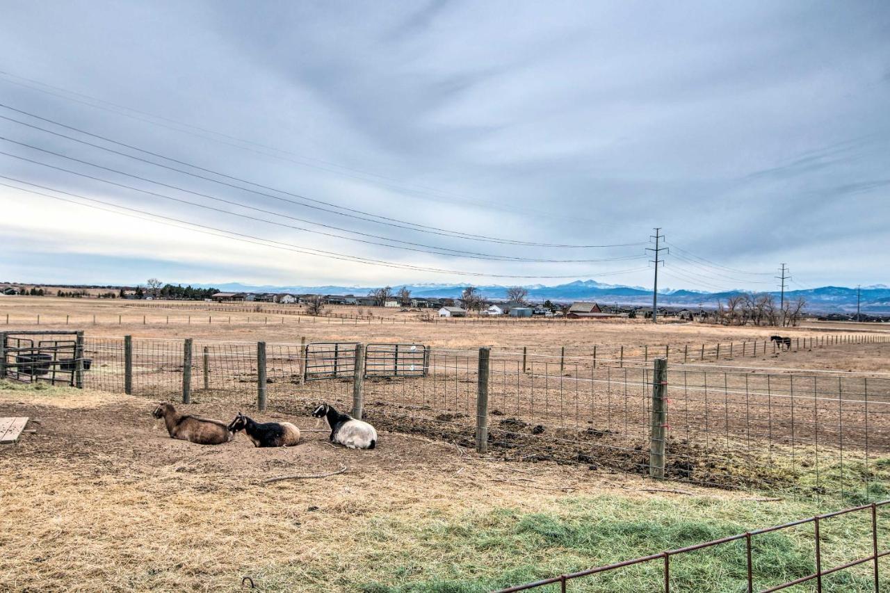 Lovely Barn Loft With Mountain Views On Horse Estate Fort Collins Exterior photo